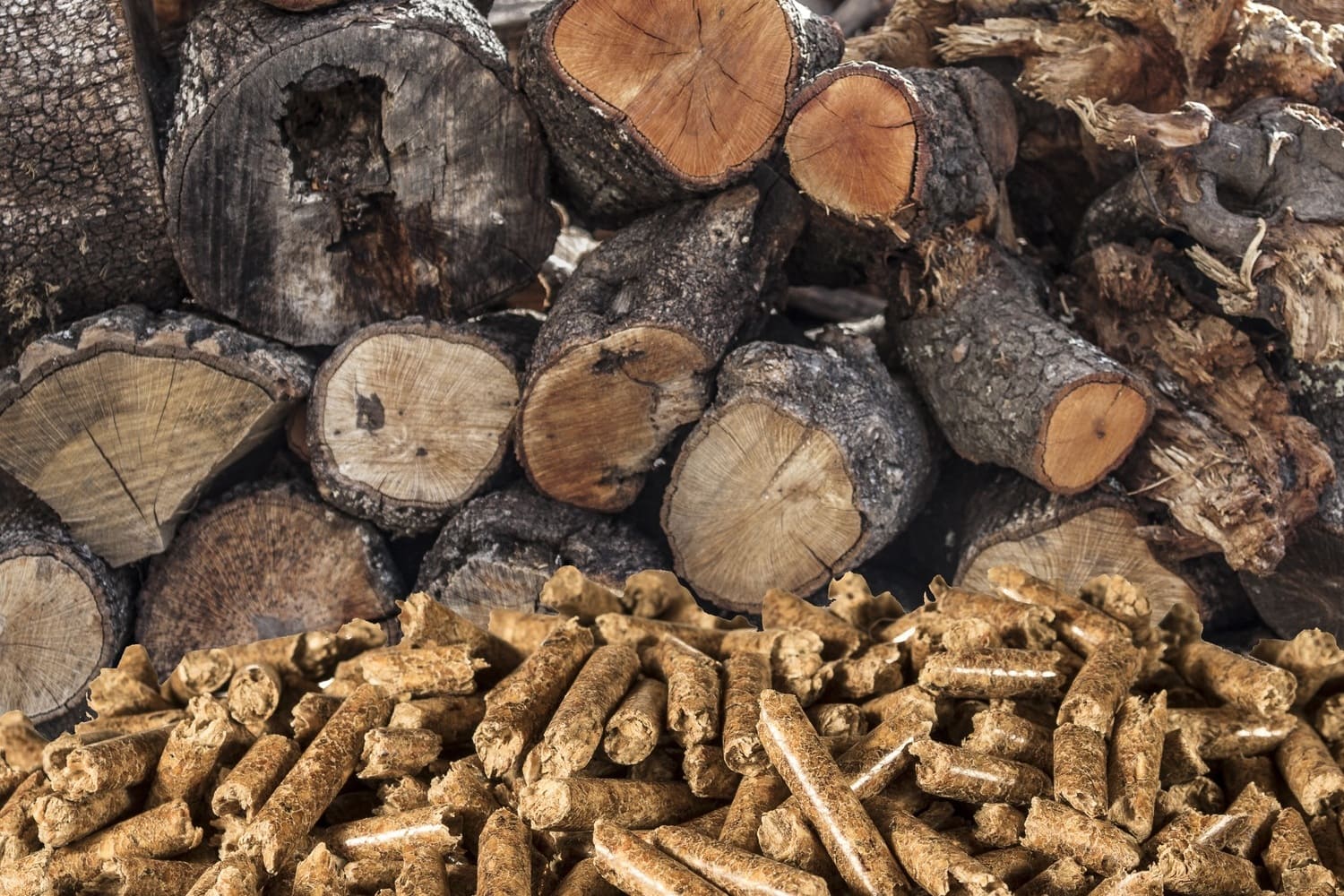 Comment transformer le bois en pellets ?