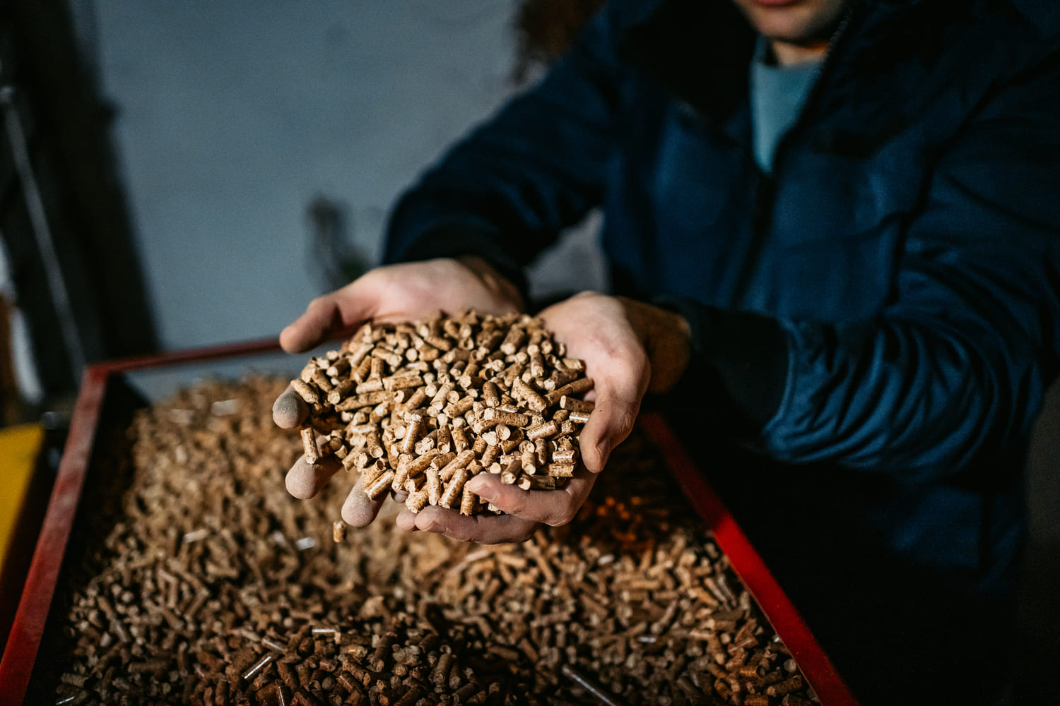 Les pellets ou granulés de bois : comment sont-ils fabriqués ?